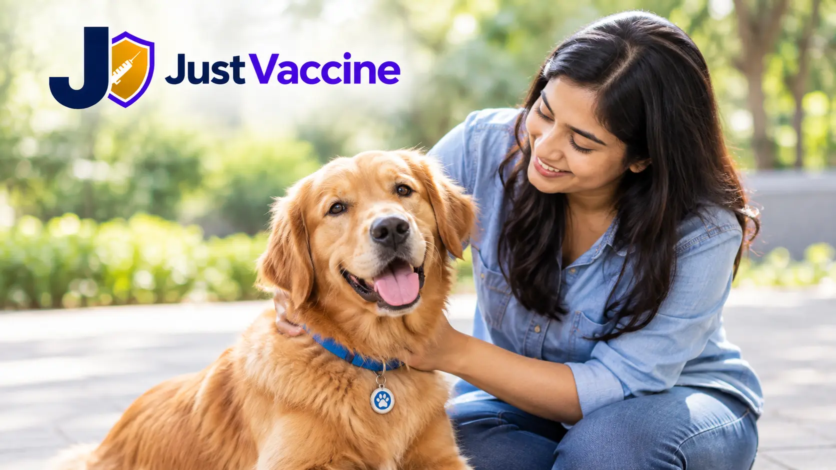 What to do after a dog bite — first aid and rabies vaccine guidance from JustVaccine Hyderabad